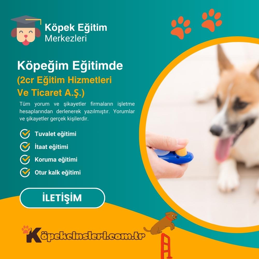 Köpeğim Eğitimde (2CR Eğitim Hizmetleri Ve Ticaret A.Ş.)