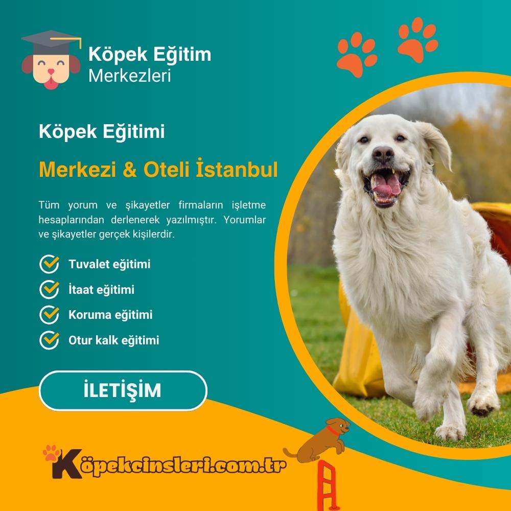 Köpek Eğitimi Merkezi Oteli İstanbul