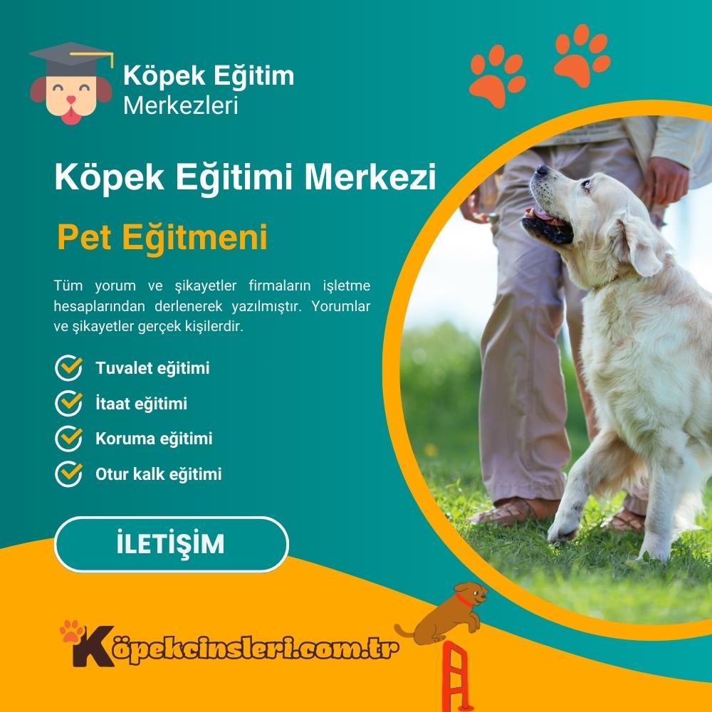 Köpek Eğitimi Merkezi