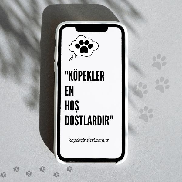 Köpekler En Hoş Dostlardır