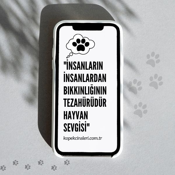 İnsanların İnsanlardan Bıkkınlığının Tezahürüdür Hayvan Sevgisi - Köpek İle İlgili Sözler