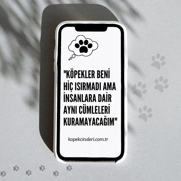 Köpekler Beni Hiç Isırmadı Ama İnsanlara Dair Aynı Cümleleri Kuramayacağım