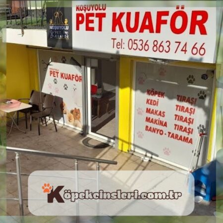 Koşuyolu Pet Kuaför