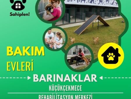 Küçükçekmece Rehabilitasyon Merkezi