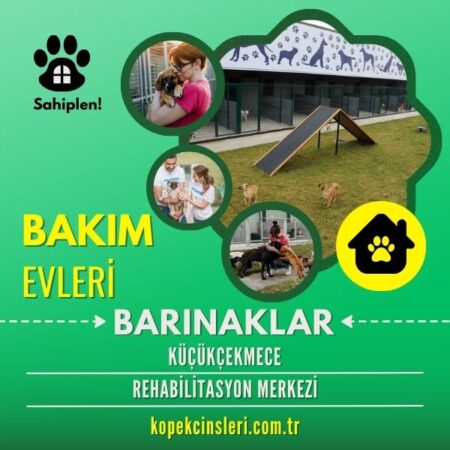 Küçükçekmece Rehabilitasyon Merkezi