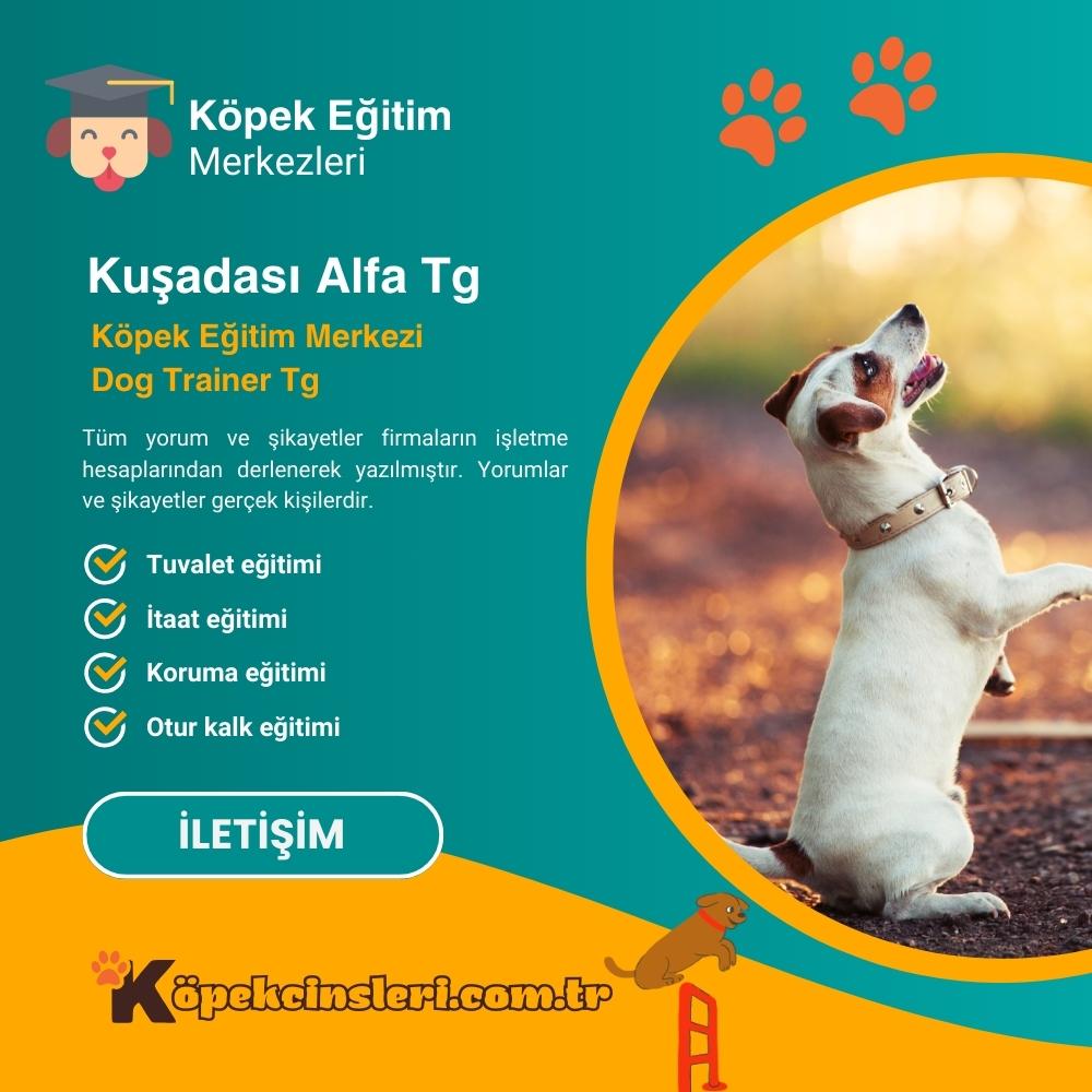 Kuşadası ALFA TG Köpek Eğitim Merkezi Dog Trainer TG