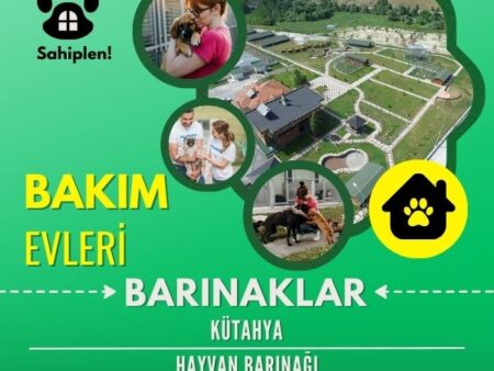 Kütahya Hayvan Barınağı