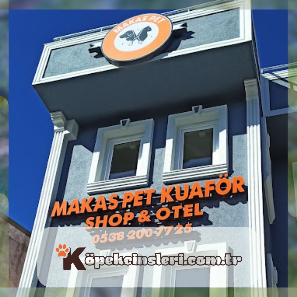 Makas Pet Kuaför Shop Otel