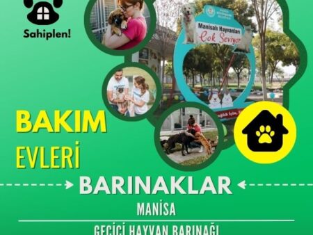 Manisa Geçici Hayvan Barınağı