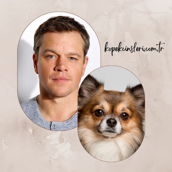 Matt Damon’ın Köpeği Carlos - Ünlülerin Köpek İsimleri 