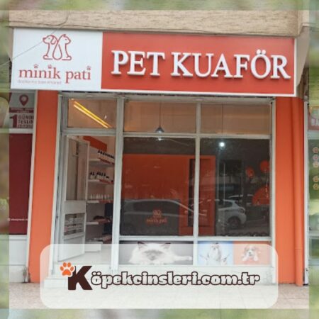 Minik Pati Pet Kuaför (Gaziantep Kedi & Köpek Tıraşı)