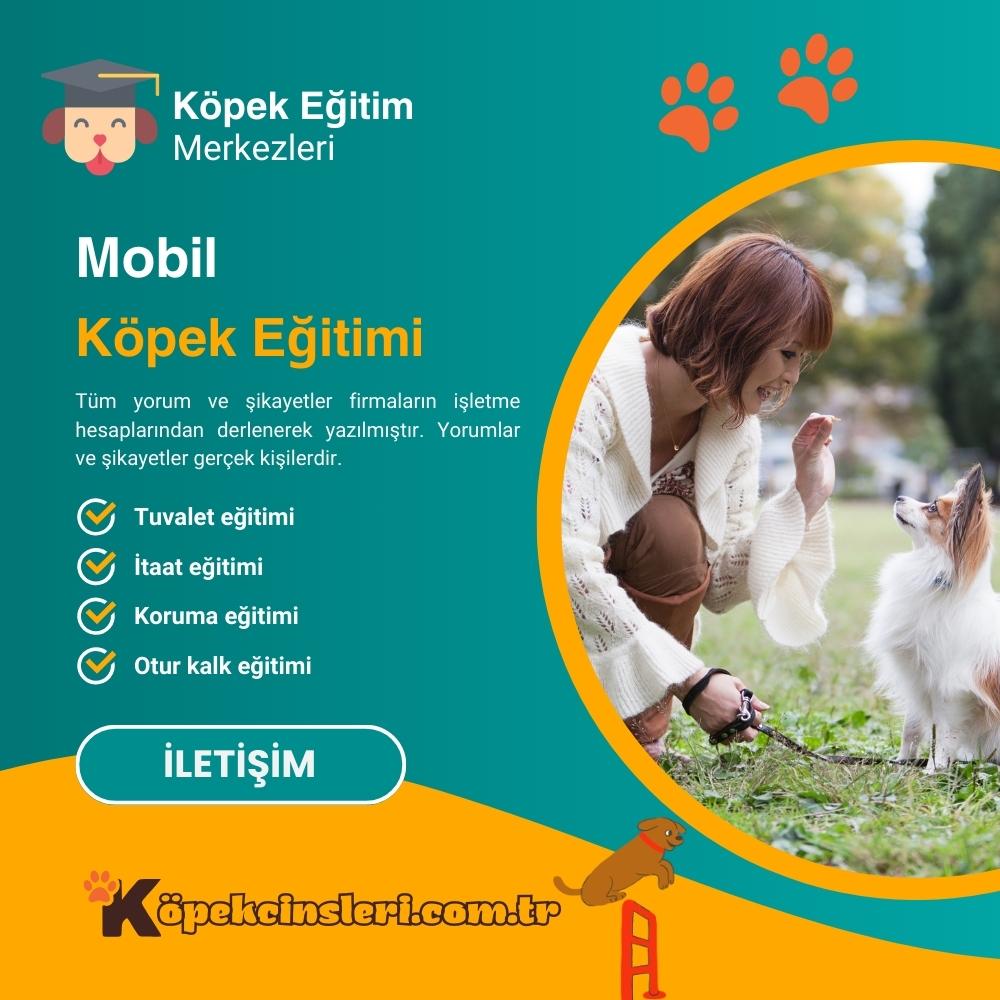 Mobil Köpek Eğitimi