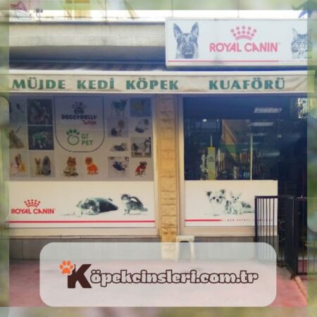 Müjde Köpek Kuaförü