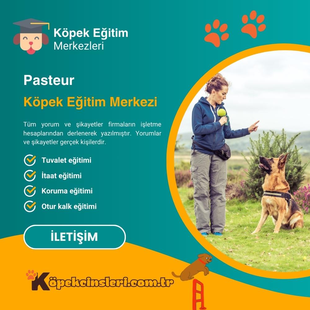 Pasteur Köpek Eğitim Merkezi