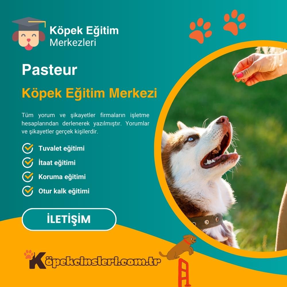 Pasteur Köpek Eğitim Merkezi