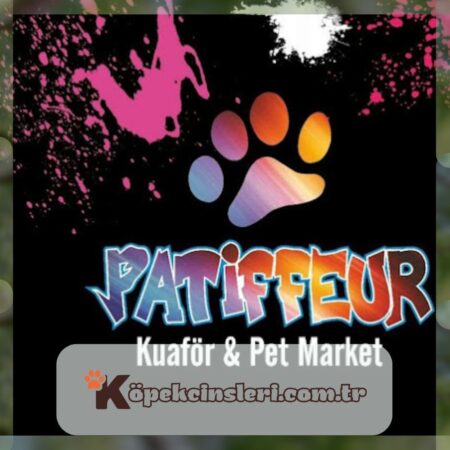 Patiffeur Pet Kuaför & Pet Market