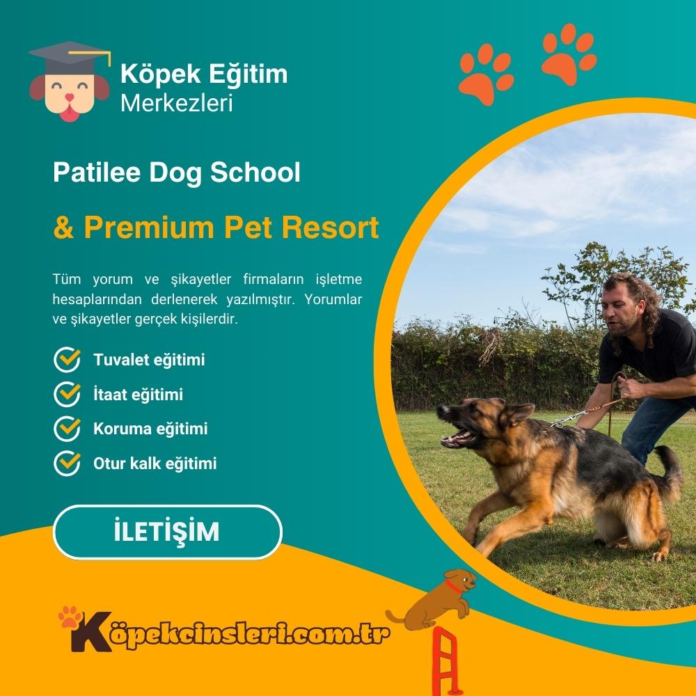 Patilee Dog School 