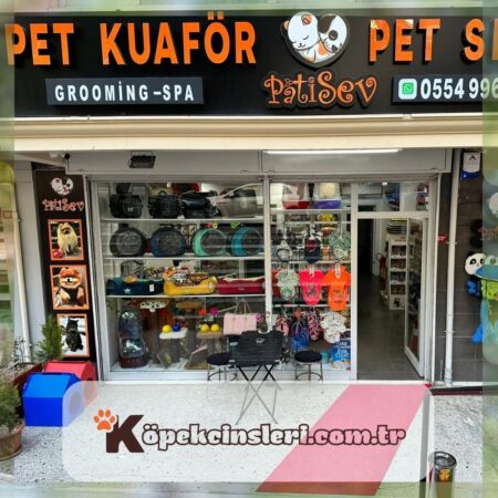 Patisev Pet Kuaför Grooming & Petshop