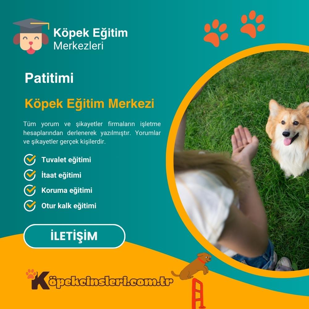 Patitimi Köpek Eğitim Merkezi