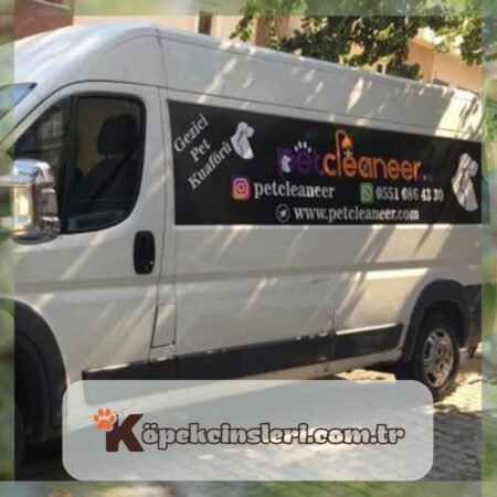 Pet Cleaneer – Gezici Pet Kuaför