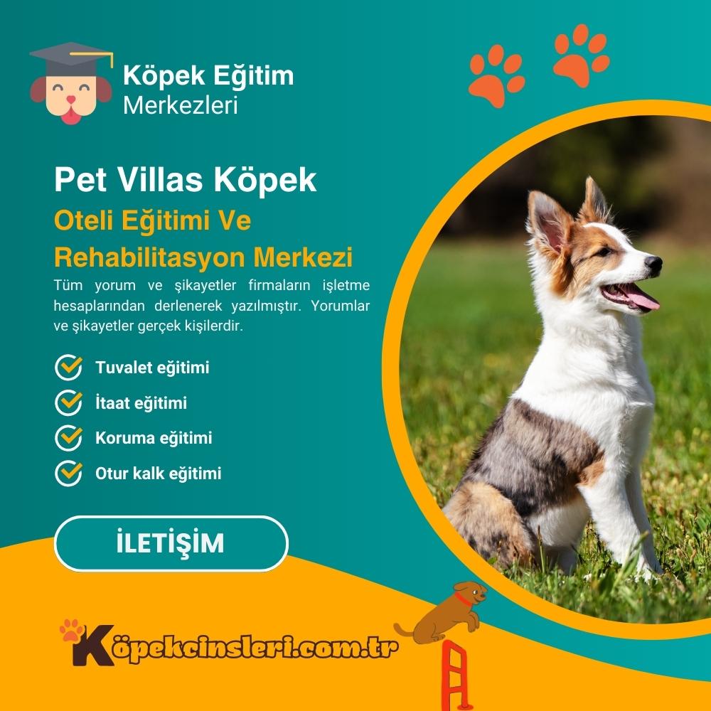 Pet Villas Köpek Oteli Eğitimi Ve Rehabilitasyon Merkezi