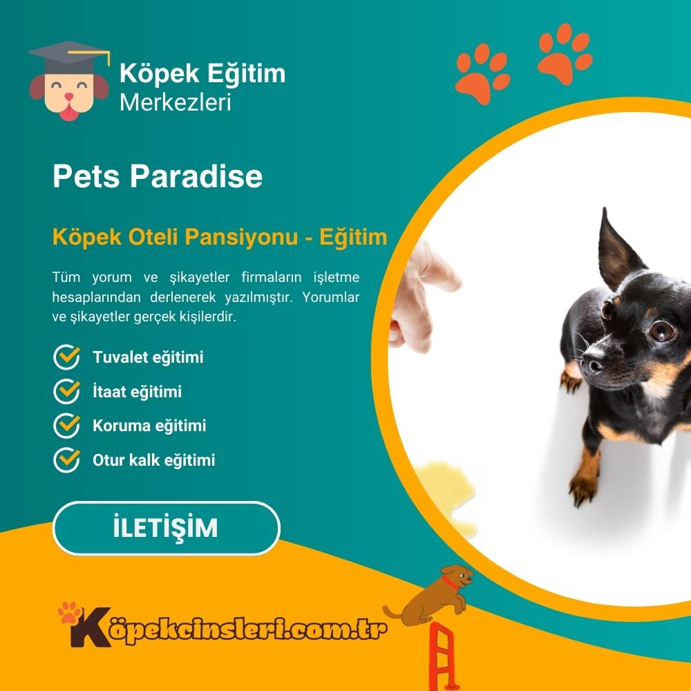 Pets Paradise Köpek Oteli Pansiyonu