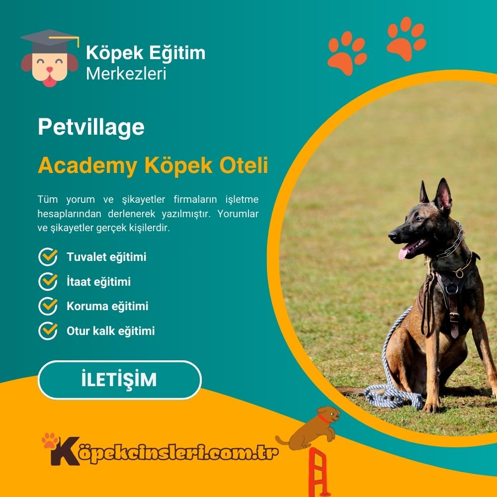 Petvillage Academy Köpek Oteli