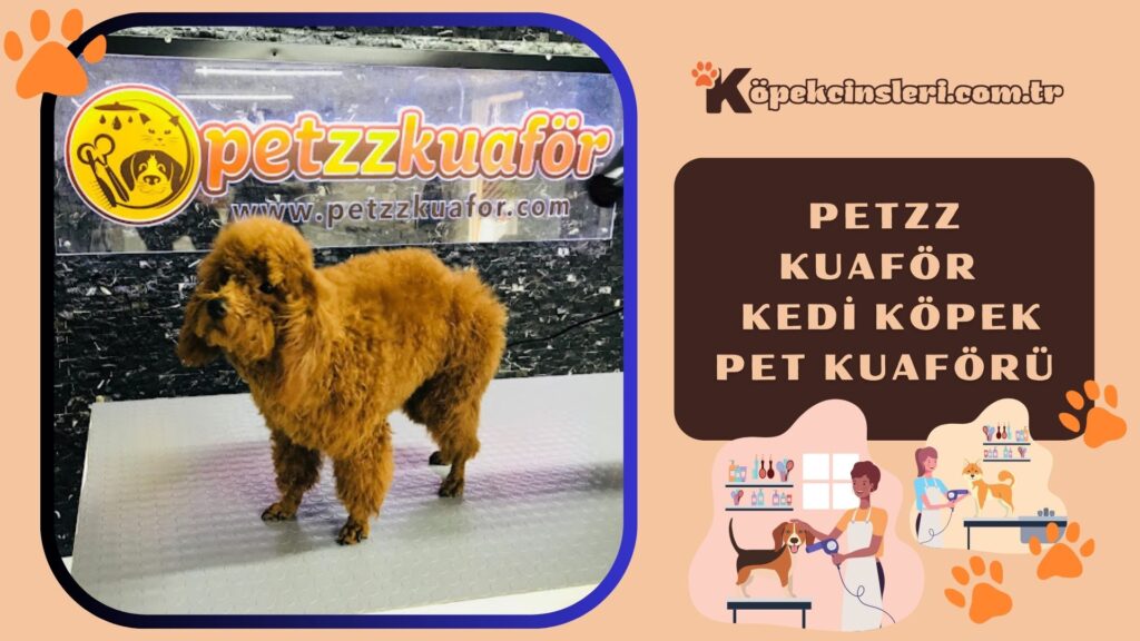 Petzz Kuaför- Kedi Köpek Pet Kuaförü