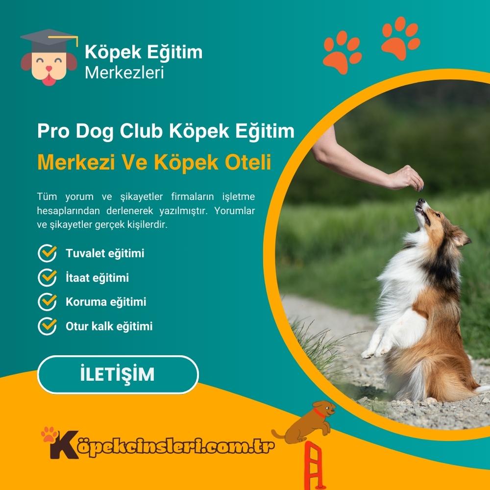 Pro Dog Club Köpek Eğitim Merkezi ve Köpek Oteli