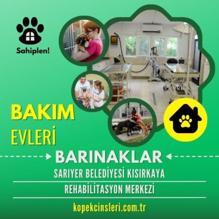 Sarıyer Belediyesi Kısırkaya Rehabilitasyon Merkezi