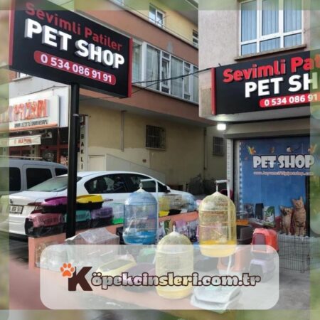 Sevimli Patiler Pet Kuaförü Pet Hotel Pet Taxi