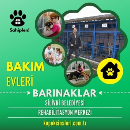 Silivri Belediyesi Rehabilitasyon Merkezi