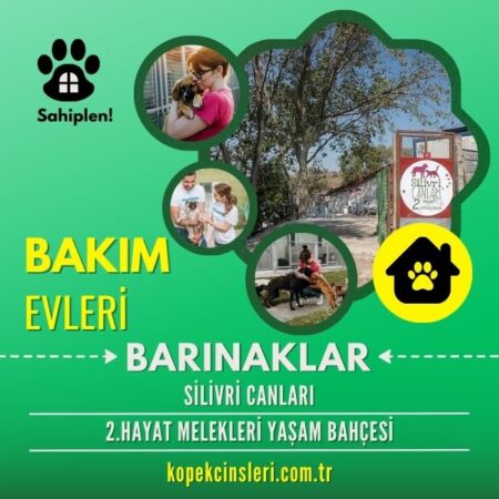 Silivri Canları 2.Hayat Melekleri Yaşam Bahçesi