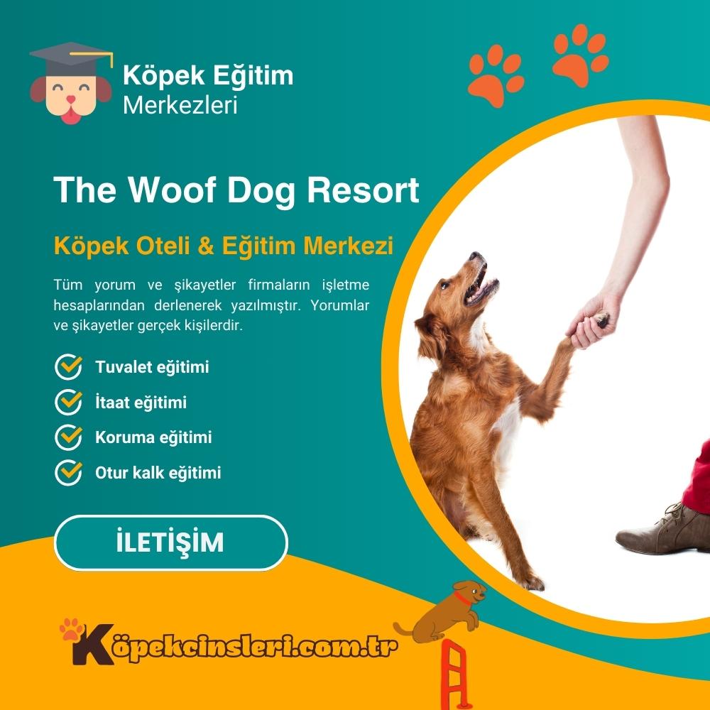 The Woof Dog Resort Köpek Oteli