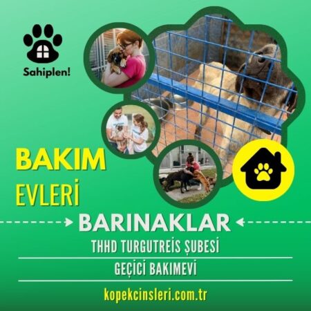 Thhd Turgutreis Şubesi Geçici Bakımevi