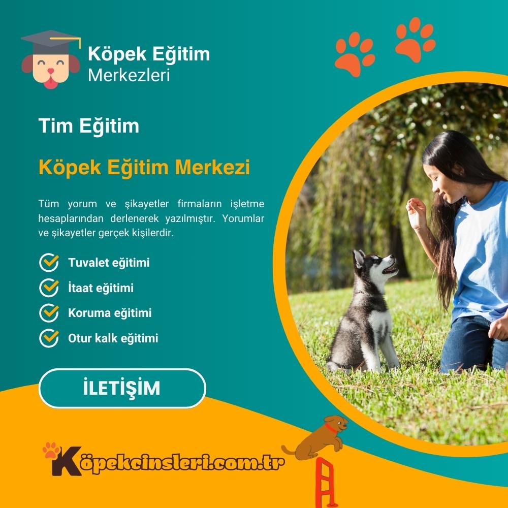 Tim Eğitim Köpek Eğitim Merkezi