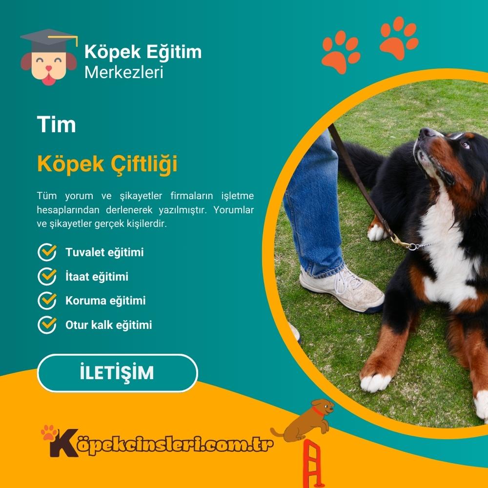 Tim Köpek Çiftliği