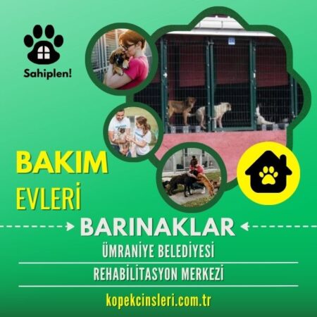 Ümraniye Belediyesi Rehabilitasyon Merkezi