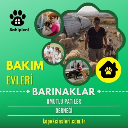 Umutlu Patiler Derneği