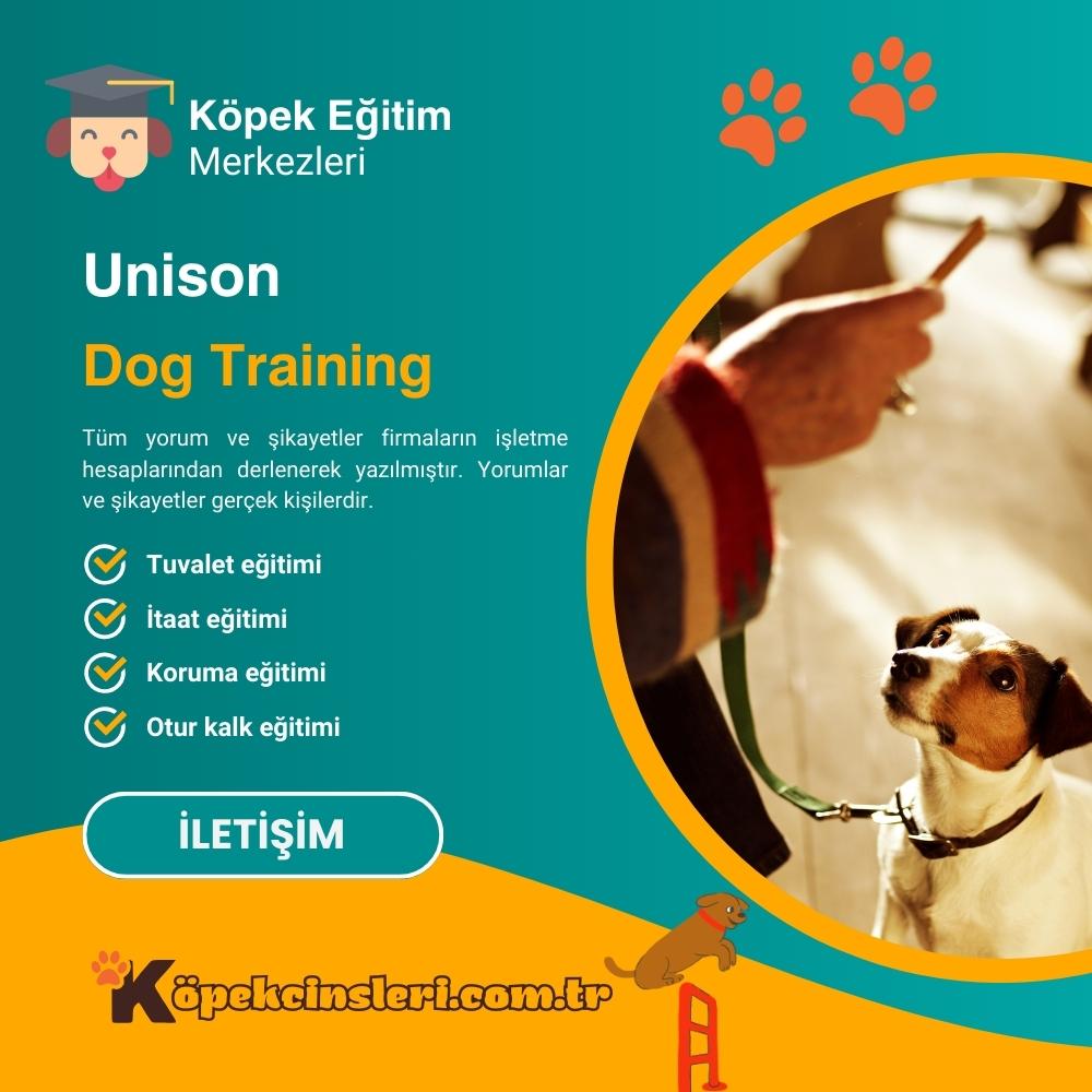 Unison Dog Training