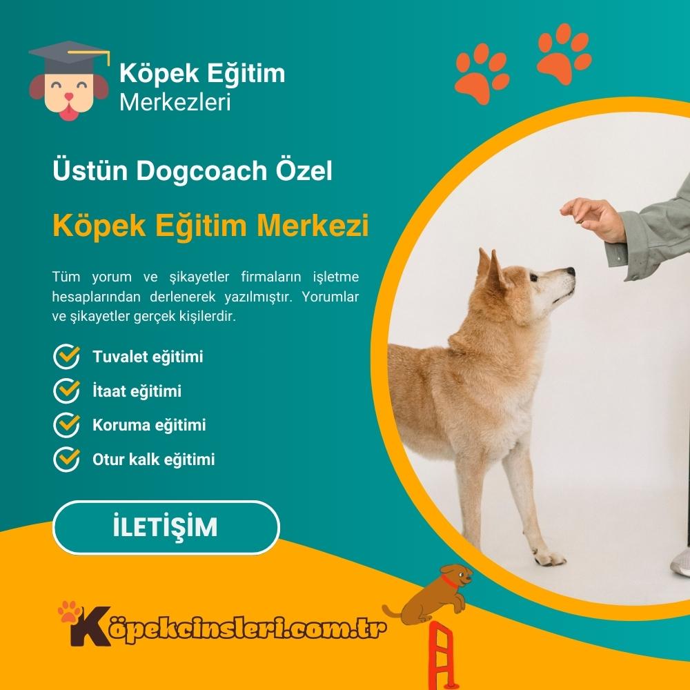 Üstün Dogcoach Özel Köpek Eğitim Merkezi