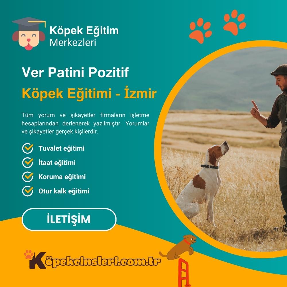 Ver Patini Pozitif Köpek Eğitimi