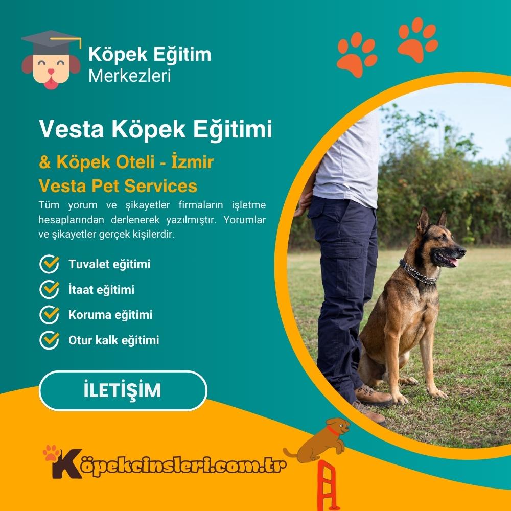 Vesta Köpek Eğitimi 