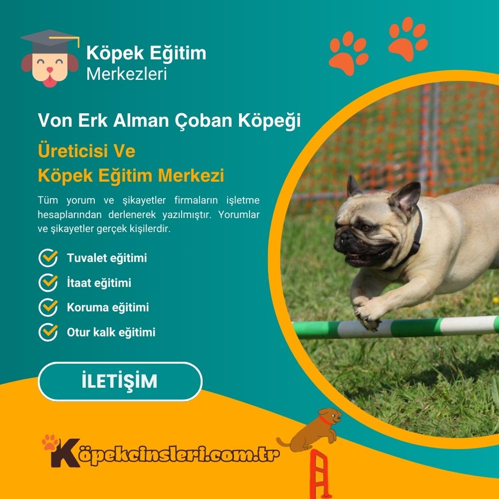 Von Erk Alman Çoban Köpeği Üreticisi Ve Köpek Eğitim Merkezi 2003