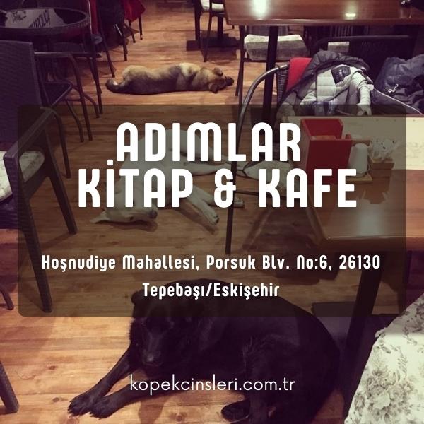 Adımlar Kitap & Kafe Evcil Hayvan Dostu Restoranlar