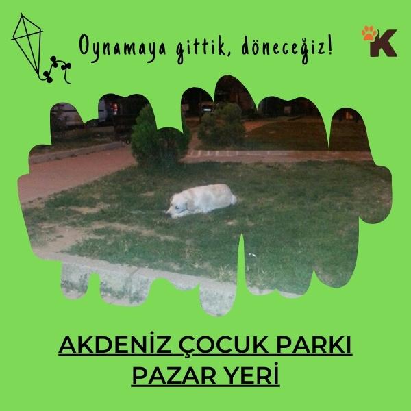 Akdeniz Çocuk Parkı Pazar Yeri