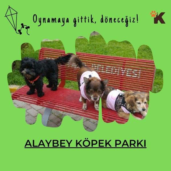 Alaybey Köpek Parkı