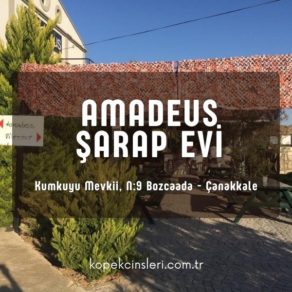 Amadeus Şarap Evi