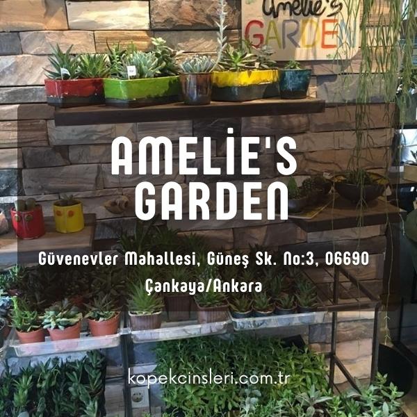 Amalie’s Garden