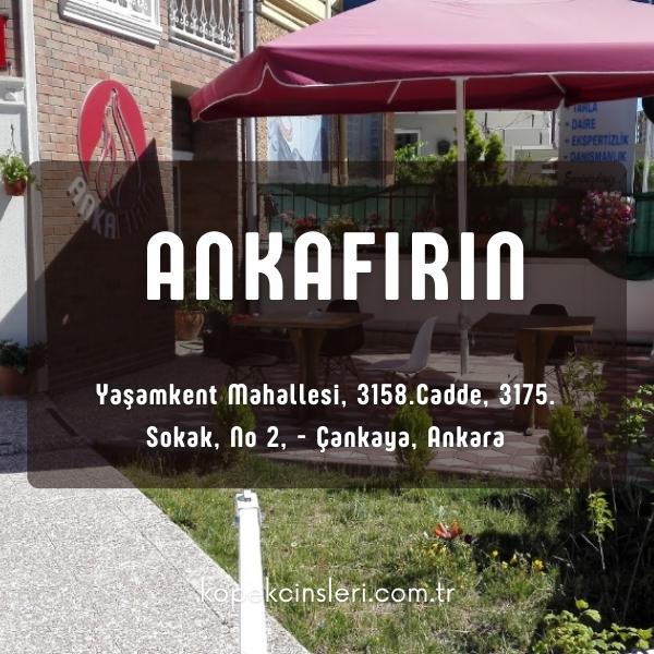 Ankafırın